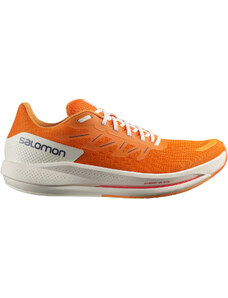 Обувки за бягане Salomon SPECTUR l41589800 Размер 42 EU