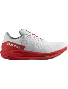 Обувки за бягане Salomon SPECTUR l41749000 Размер 43,3 EU