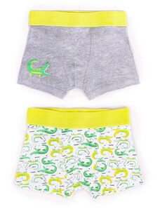 Yoclub Kids's Cotton Boys' Boxer Briefs Underwear 2-pack BMB-0011C-AA30-001