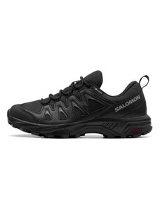 Мъжки спортни обувки Salomon X Braze Gore-Tex