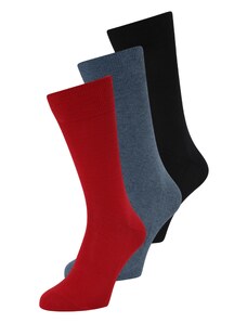 FALKE Къси чорапи 'Family' гълъбово синьо / червено / черно