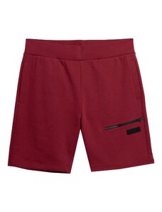 4F Спортен панталон тъмночервено / черно