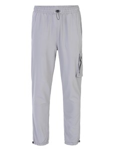 Spyder Спортен панталон сиво