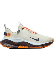 Обувки за бягане Nike InfinityRN 4 GORE-TEX fb2204-002 Размер 44 EU