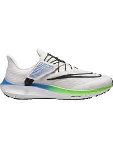 Обувки за бягане Nike Pegasus FlyEase dj7381-006 Размер 45 EU