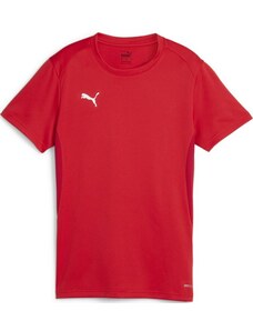 Риза Puma teamGOAL Jersey W
