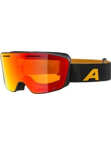 Очила Alpina Nendaz Q Lite A7291832