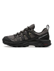 Мъжки спортни обувки Salomon X Braze Gore-Tex