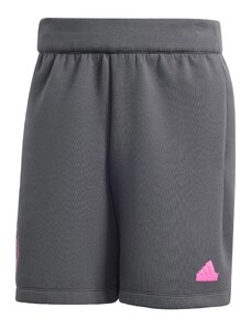ADIDAS PERFORMANCE Спортен панталон 'DFB' сиво / розово / бяло