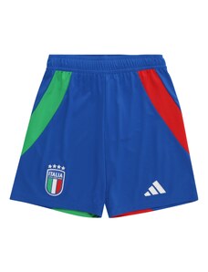ADIDAS PERFORMANCE Спортен панталон 'Italy 24 Away' синьо / зелено / червено / бяло
