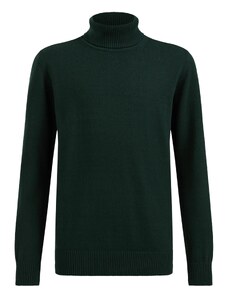 WE Fashion Пуловер елхово зелено