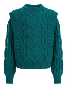 WE Fashion Пуловер тъмнозелено