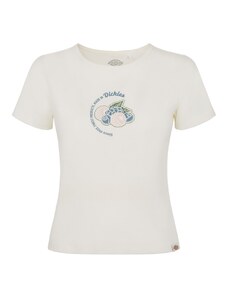 DICKIES Тениска 'ALTOONA' синьо / зелено / розово / бяло