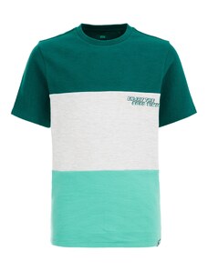 WE Fashion Тениска сив меланж / зелено / нефритено зелено