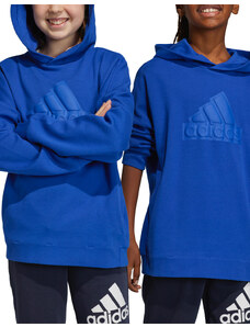 ADIDAS Sportswear Future Icons Logo Hoodie Blue