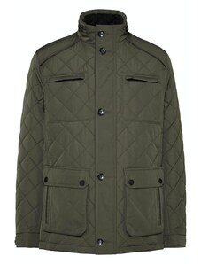 bugatti Преходно яке маслина