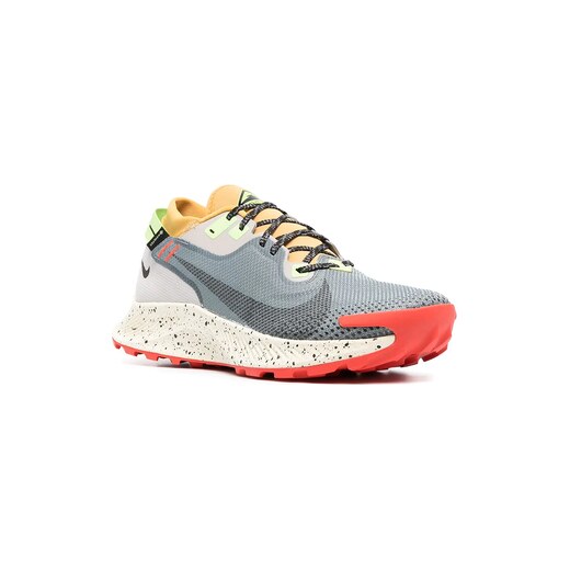 Nike Pegasus Trail 2 sneakers - Grey 