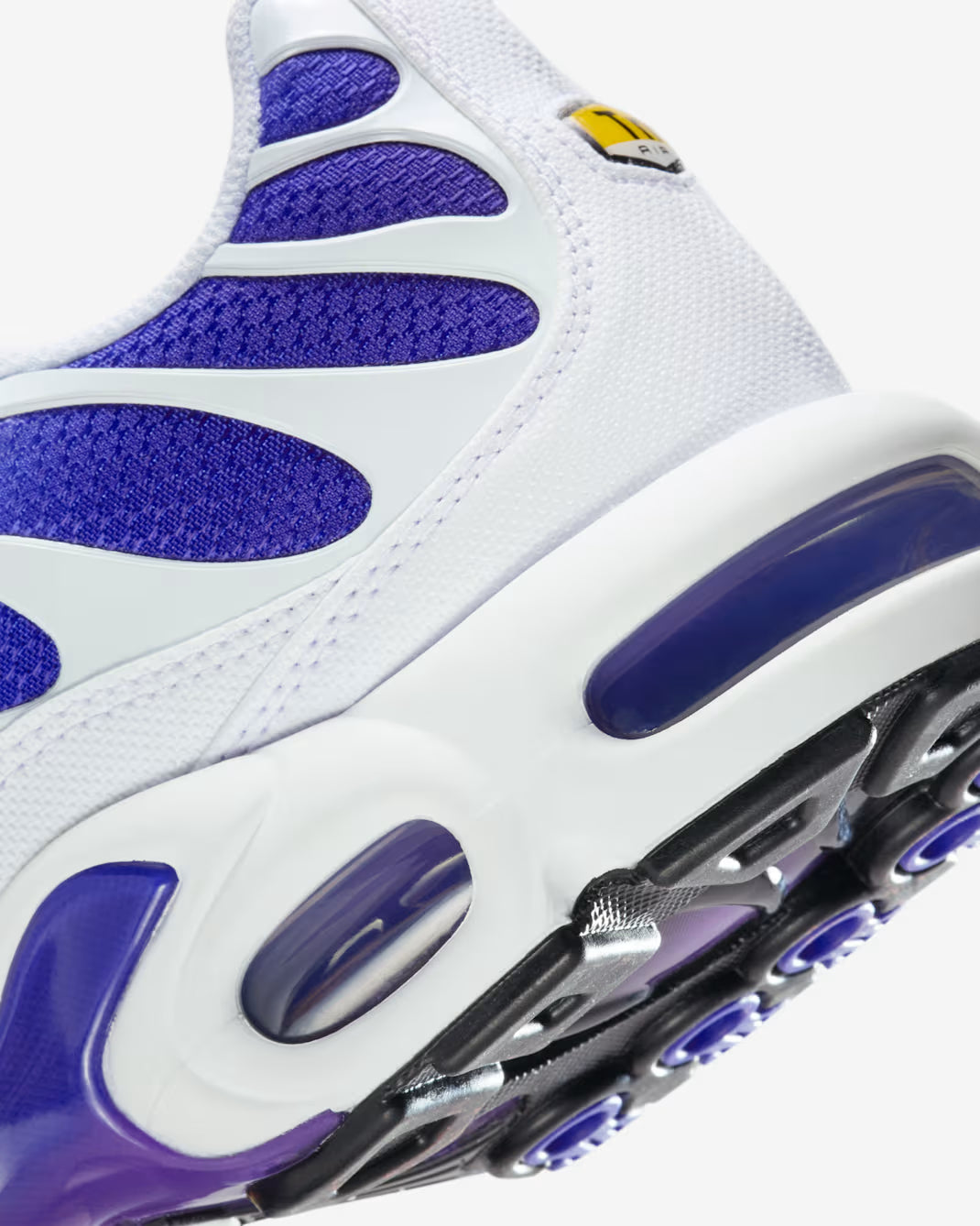 Nike Air Max Plus TN Wild Grape