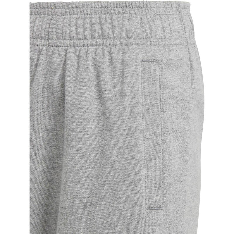 ADIDAS SPORTSWEAR Къси панталони Essentials Big Logo Cotton