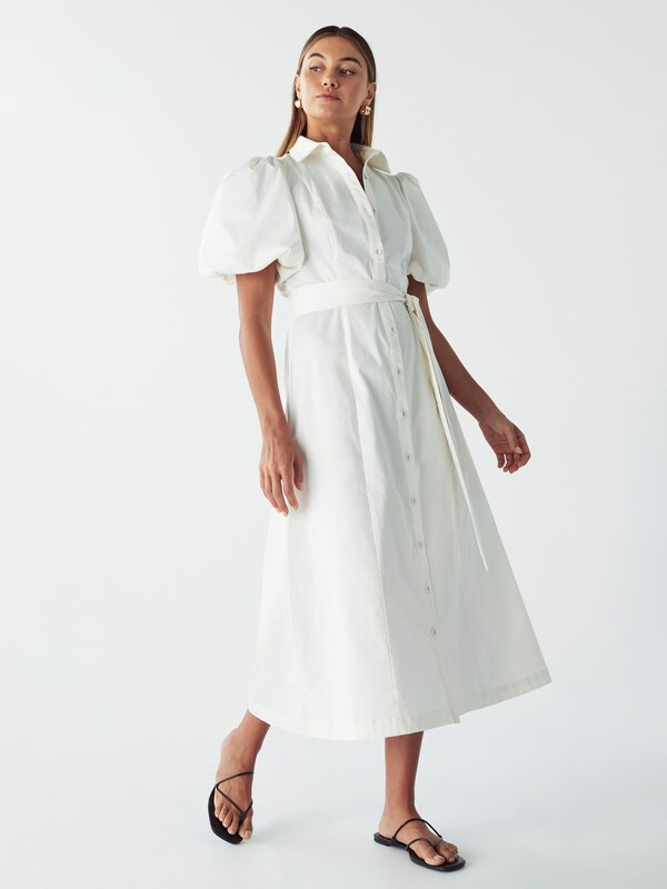 Willa Рокля 'Ariane' бяло