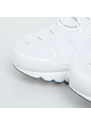Nike Air Max Plus TN White