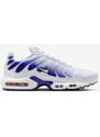Nike Air Max Plus TN Wild Grape